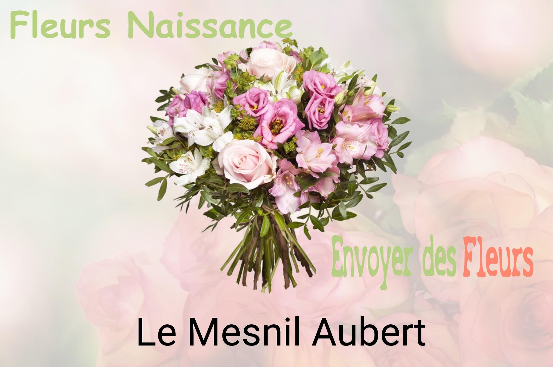 Bouquet de fleurs de naissance livré à Le Mesnil-Aubert